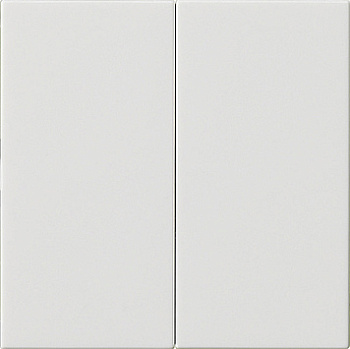 Gira Накладка управления 2-местн. System 3000 536203