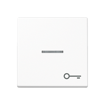 JUNG Клавиша с символом двери с подсветкой, белый A590BFKO5TWW