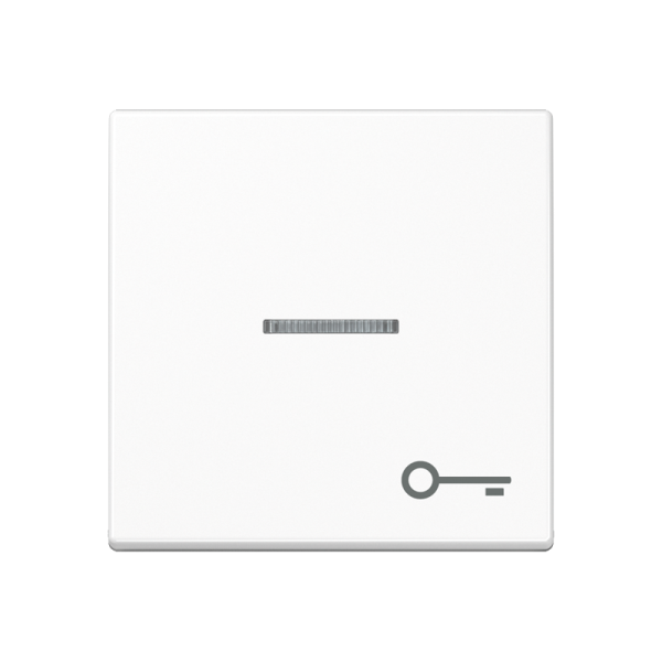 JUNG Клавиша с символом двери с подсветкой, белый A590BFKO5TWW