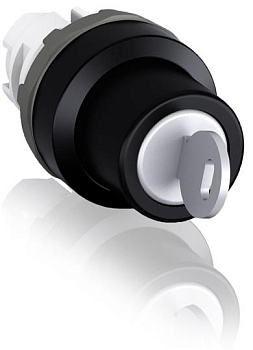 ABB M2SSK2-104 Переключатель с ключом 2-х позиционный (только корпус ) 45# 1SFA611281R1004 ABB M2SSK2-104 Переключатель с ключом 2-х позиционный (только корпус ) 45# 1SFA611281R1004