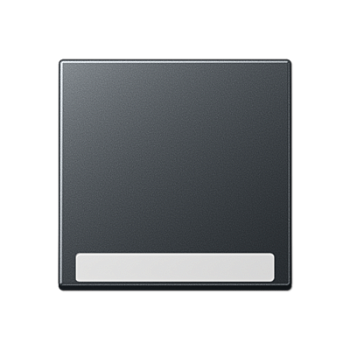 JUNG Клавиша с полем для надписи, матовый антрацит A590BFNAANM