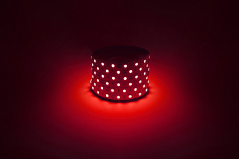 ЭРА Светодиодная лента LS5050 -14,4-60-12-R-IP20-1 year-5m красный 5м