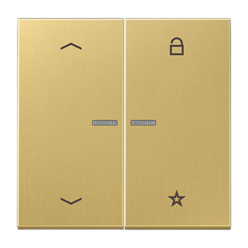 JUNG Центральная плата для вставок управления двигателями, латунь Classic ME1701PC