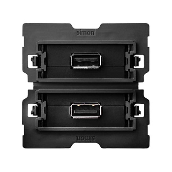 Simon 100 Розетка 2xUSB 2.0 10000562-039