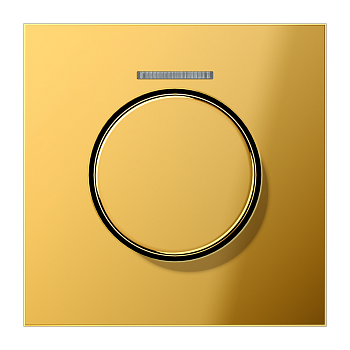 JUNG Накладка роторного механизма со световодом ,имитация золота GO1940KO5