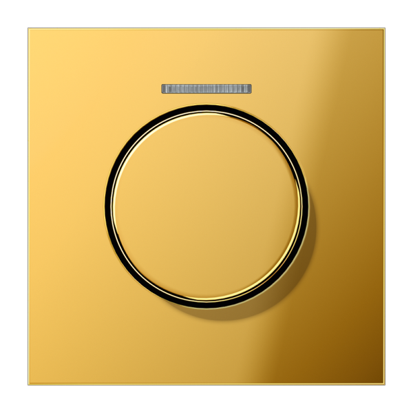 JUNG Накладка роторного механизма со световодом ,имитация золота GO1940KO5