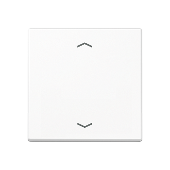 JUNG Клавиша, белый A590BFPWW