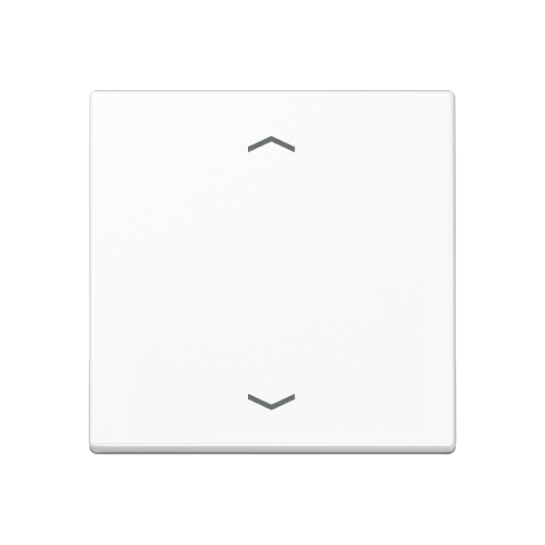 JUNG Клавиша, белый A590BFPWW