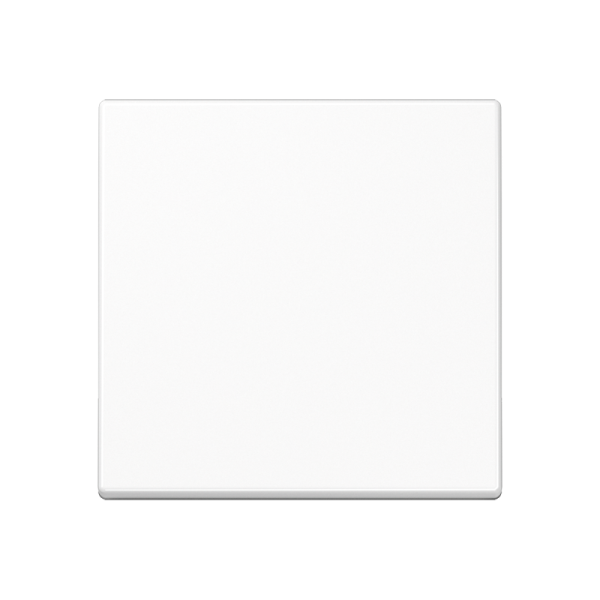 JUNG Белый Клавиша, термопласт A590BFWW