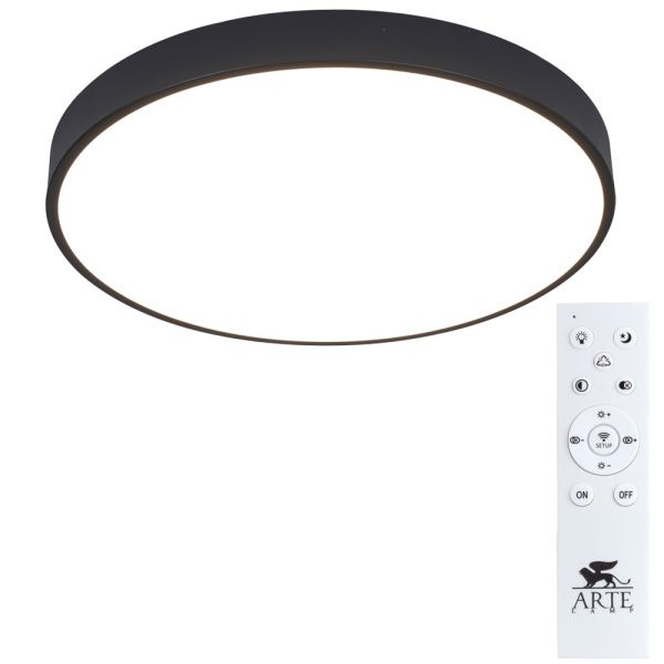Arte Lamp ARENA Потолочные светильники A2672PL-1BK