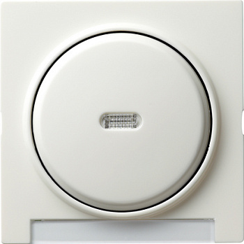 Gira Одинарная клавиша с полем для надписи и подсветкой 067040