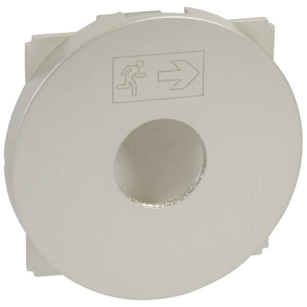 Купить Legrand Celiane Комплект для подкл. мультимед. ист. к ЖК ТВ тит. 068500