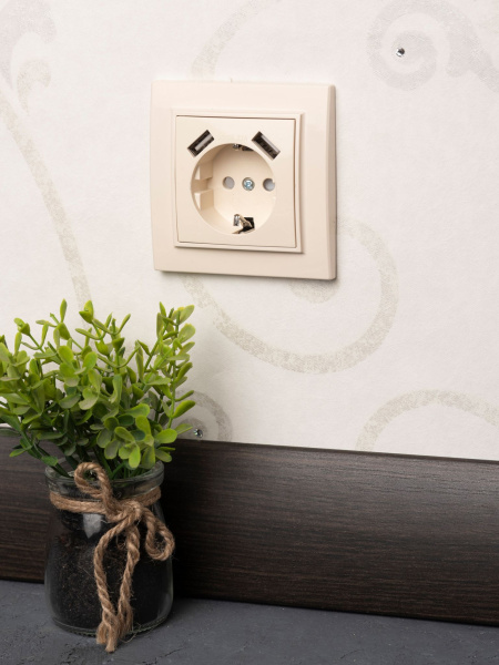 Купить EKF Basic Минск Бежевый Розетка с/з, со шторками, 16А, с 2 USB 2,1А, СП