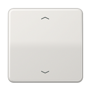 JUNG Клавиша для одинарной кнопки BCU светло-серая CD590PLG