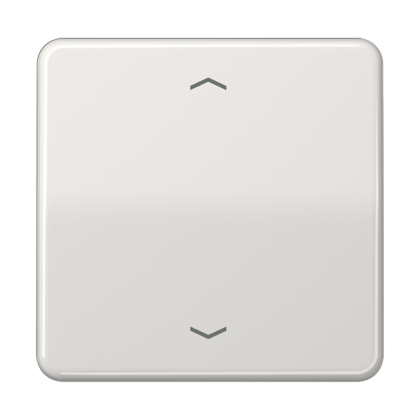 JUNG Клавиша для одинарной кнопки BCU светло-серая CD590PLG