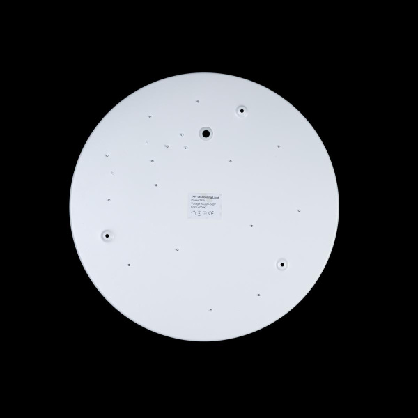 Купить LOFT IT 10002/24 White Светильник потолочный Axel, шт