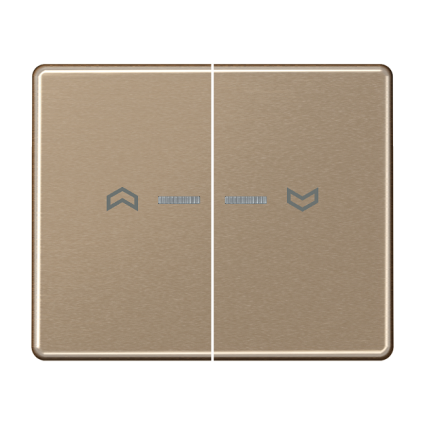 JUNG Клавиши для сдвоенной кнопки BCU золотая бронза SL595KO5PGB