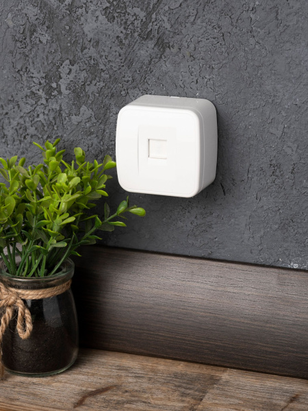 Купить EKF Basic Минск Белый Розетка RJ-45, 1А, 120В, ОП