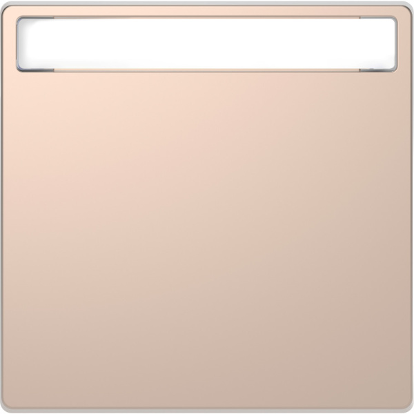 SE Merten D-Life Шампань Клавиша 1-ая с полем д/надписи MTN3360-6051