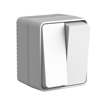 Systeme Electric AtlasDesign Profi54 Наруж Серый Выключатель 2-клавишный 10 АХ