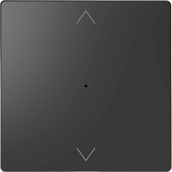 SE Merten D-Life Антрацит PlusLink Клавиша 1-ая с символами вх/вз MTN5215-6034