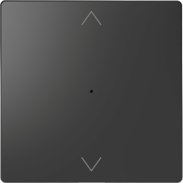 SE Merten D-Life Антрацит PlusLink Клавиша 1-ая с символами вх/вз MTN5215-6034