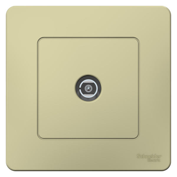 Купить Systeme Electric Blanca внутр Беж Коннектор TV