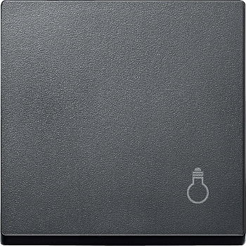 SE Merten SM Клавиша с маркировкой «свет» (MTN439914)