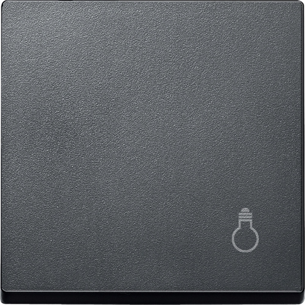 SE Merten SM Клавиша с маркировкой «свет» (MTN439914)