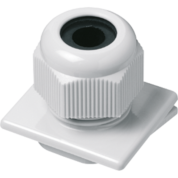 JUNG Вставка с резьбой М20×1,5 для изделий серии WG600 193-2