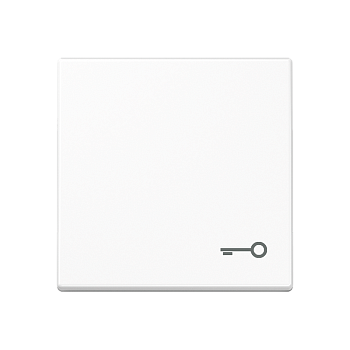 JUNG A 500 Белая Клавиша 1-ая с символом КЛЮЧ A590TWW