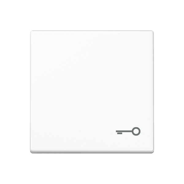 JUNG A 500 Белая Клавиша 1-ая с символом КЛЮЧ A590TWW