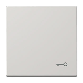 JUNG Клавиша с символом "ключ", светло-серый LS990TLG