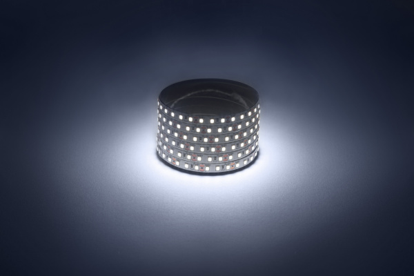 ЭРА Светодиодная лента LS2835 -9,6-120-12-6500K-IP20-1 year-50m холодный белый 50м