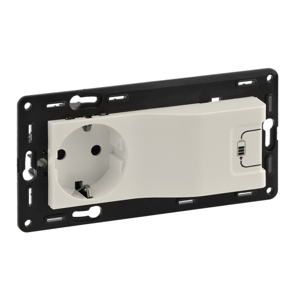 Legrand Valena ALLURE/LIFE Сл.кость Розетка c/з + USB (c лицевой панелью) 753210