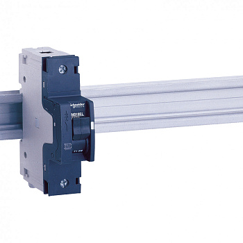 SE Acti 9 NG125L Автоматический выключатель 1P 10A (B) 18741