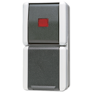 JUNG Комбинация - розетка и контрольный выключатель для накладного монтажа IP44 876KOW