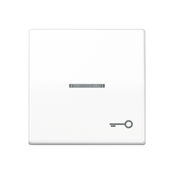 JUNG Клавиша для выключателя с окошком для подсветки и символом "замок" белая ABAS591KO5TWW