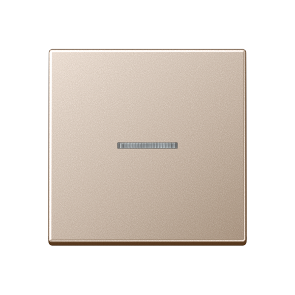 JUNG A 500 Шампань Клавиша 1-ая с/п A590KO5CH