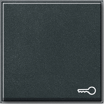 Gira TX 44 Антрацит Клавиша с пиктограммой "ключ" 028767