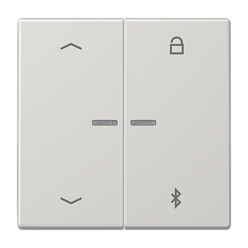 JUNG Таймер универсальный Bluetooth «стрелки», светло-серый LS1751PBTLG