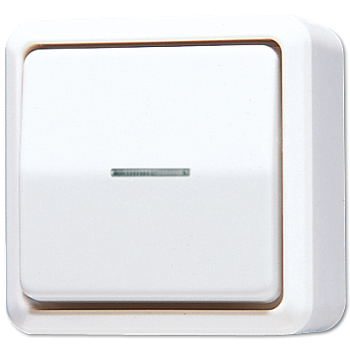 JUNG Выключатель контрольный для накладного монтажа, белый 606KO5AWW