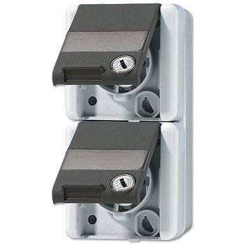 JUNG Двойная SCHUKO-розетка 16A 250V~ с полем для надписи для накладного монтажа IP44 822NAWSL