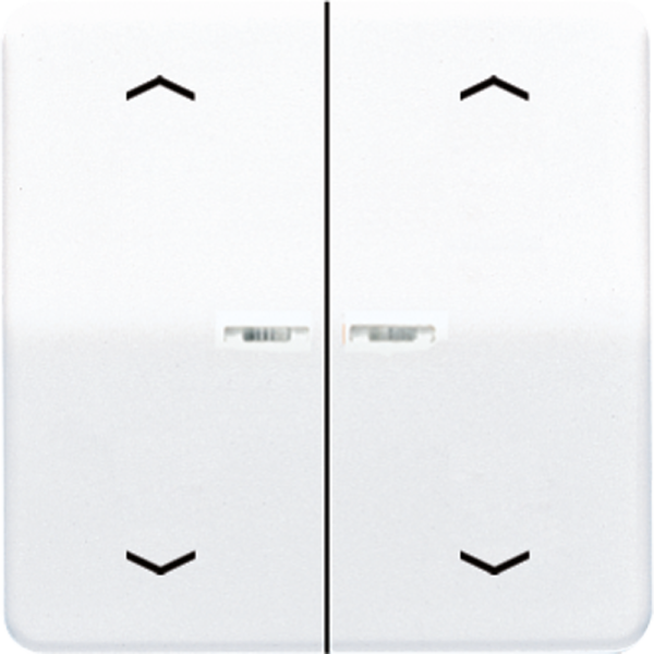 JUNG Клавиши для сдвоенной кнопки BCU белые CD595KO5MPWW