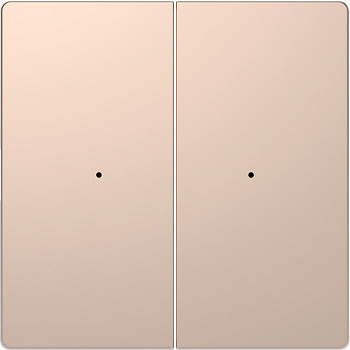 SE Merten D-Life Шампань PlusLink Клавиша 2-ая без символов MTN5220-6051