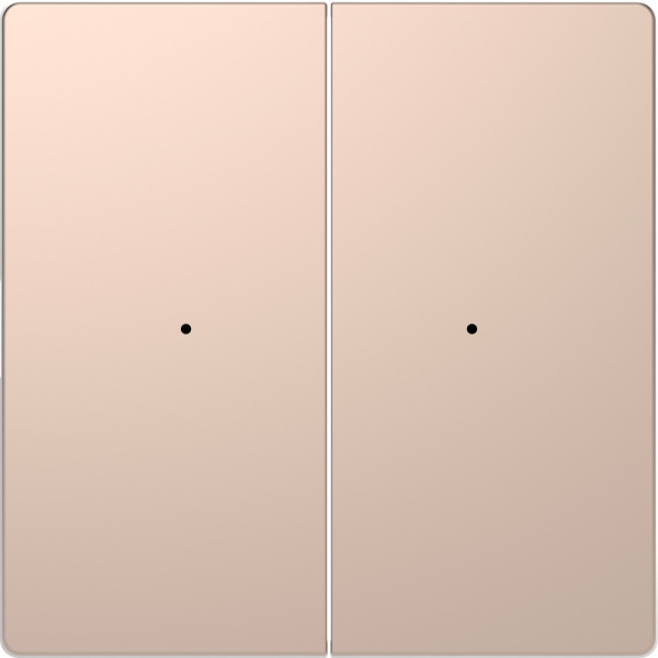 SE Merten D-Life Шампань PlusLink Клавиша 2-ая без символов MTN5220-6051