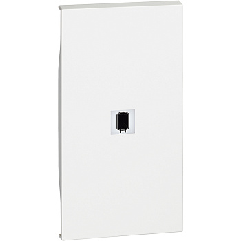 BT Living now Белый Лицевая панель с символом бойлер для выключ и переключ 2 мод KW01M2SN