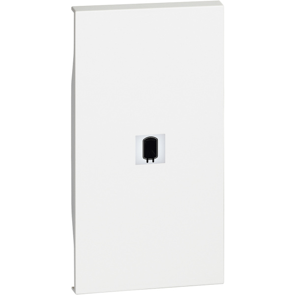 BT Living now Белый Лицевая панель с символом бойлер для выключ и переключ 2 мод KW01M2SN