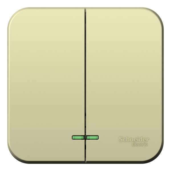 Купить Systeme Electric Blanca наруж Беж Выключатель 2-клавишный (cх.5) с подсветкой, изолир. пластина 10А,250B