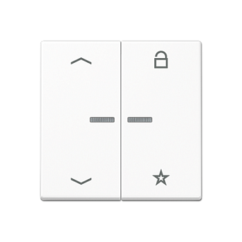 JUNG A Flow/A 550 Белый матовый Центральная плата универсальная с символами «стрелки» A1701BFPWWM